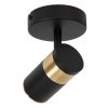 Nowoczesny plafon lampa sufitowa czarno-złota regulowana tuba na wysięgniku uniwersalna minimalistyczna metalowa GORIK 53909/01/30 Lucide
